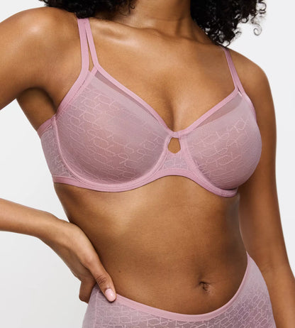 Triumph Signature Sheer W01